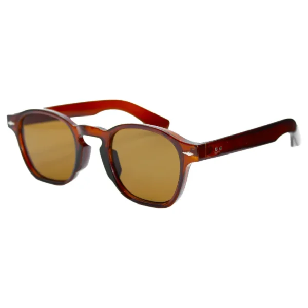 Gafas de sol modernas de acetato marrón