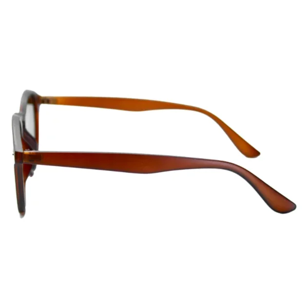 gafas de sol estilo moderno color marrón diseño elegante